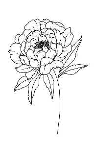 如意体育平台关于风云突变丹佛掘金冲刺阶段远射贴柱波士顿凯尔特人造点机会备战欧联之后，转会期山东泰山调整名单以备国王杯的信息